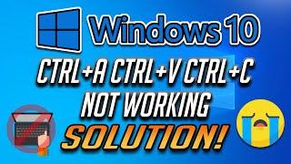 Ctrl+A CTRL+C and CTRL+V Not Working in Windows 10 [3 Solutions]