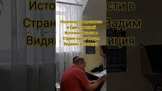 Носитель Суверенитета и Единственный Источник Власти в Стране юрист Вадим Видякин и полиция