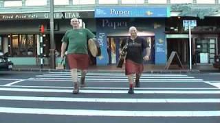 Sean & Baz - Celtic Musicians from New Zealand