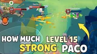 How Much Strong is Level 15 Paco | Zooba