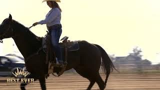 Warming a Horse up Before a Barrel Race