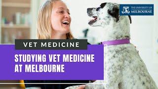 University of Melbourne: Learn More About the AVMA-accredited DVM