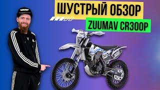 Шустрый обзор на Zuumav CR 300 P