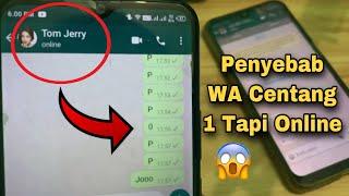 Penyebab WA Centang 1 Tapi Online Kenapa ?? Tonton Ini