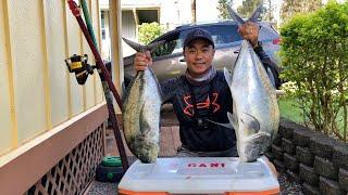 OMILU/ULUA/GT Strikes | Lanai, Hawaii Live Bait Fishing