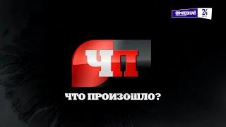 Что произошло. 29.11.24. ФСБ: Сотрудники частного детсада Сургута похитили 80 млн.руб