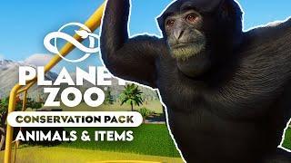 CONSERVATION PACK SHOWCASE! All The Animals & New Building Items - Planet Zoo Conservation Pack