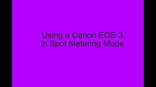 Using a Canon EOS 3 in Spot Metering Mode