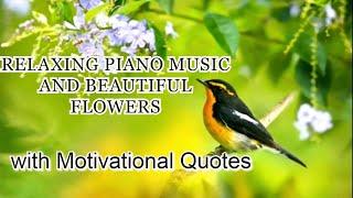 RELAXING PIANO MUSIC & BEAUTIFUL FLOWERS . ENJOY WATCHING & LISTENING!