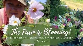 The Flower Farm is Blooming! // Subscription Bouquets, Weddings, + Market // Green Bee Floral Co
