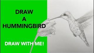 Draw a Hummingbird in real time!