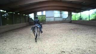 Breaking A Horse Properly With Alvin R Boudy Jr (part 13)