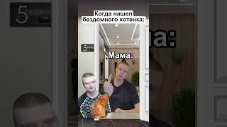 Когда Мама не разрешила взять кота домой,но бабушка решила проблему) #мемы #жиза #кот #бабушка #мама