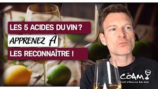 Dégustation : Apprenez à RECONNAÎTRE facilement les 5 ACIDES du vin