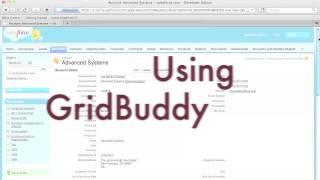 Editable Related Lists in Salesforce Using GridBuddy