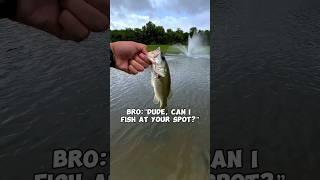 NO‼️ #fishing #bassfishing #bass #fishinglife #fishingshorts #fishingvideo #sportfishing #fisherman