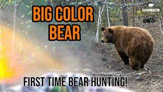 NEW HUNTER SHOOTS DREAM FIRST BEAR!!! Big Canadian Color Phase Black Bear
