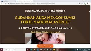 Fungsi landing page pada (toko online)