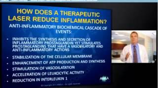 Laser Therapy - LightForce EXP - Analgesia and Inflammation