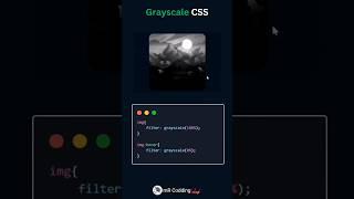 Grayscale image in css #codechallenge #coding #frontend #webdesign #mrcodding #shorts