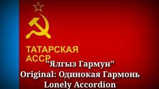 Ялгыз Гармун - Одинокая Гармонь, Lonely Accordion [Tatar Version]