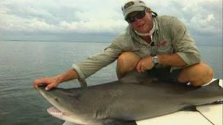 Bull Shark Fishing the Flats on Light Tackle in Homosassa Florida