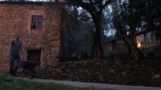 #53 - From Dawn 'til Dusk | Working on the Stone Outbuildings, Pruning Olive Trees & More Antiques