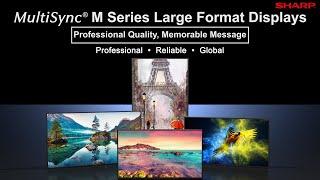 M Series Large Format Displays