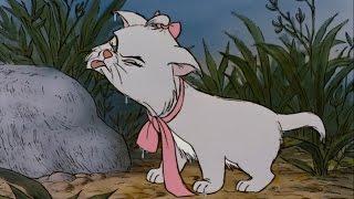 AristoCats: Marie's Cutest Moments