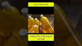 Mật ong vàng như nghệ trông rất hấp dẫn | Ong Thành Nam #shorts