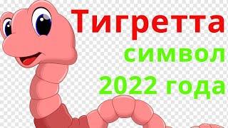 ЧИ9 Тигретта в Украину. Символ 2022 года Тигретта Ткаченко