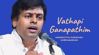 Vathapi Ganapathim | Shenkottai Harihara Subramania Iyer | Muthuswami Dikshitar | Hamsadhwani