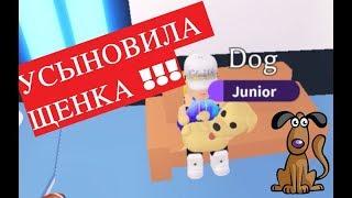 Усыновила ПИТОМЦА, который вылупился из ЯЙЦА!!! Adopt me roblox на русском языке