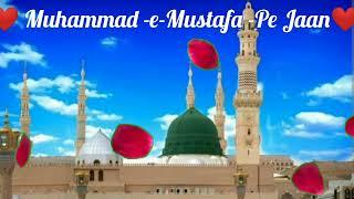 ️ Muhammad Mustafa Pe Jaan ️ Emotional Heart Touching Naat l Taamana vlog