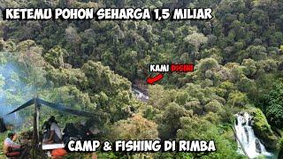 Petualangan Jauh Ke Dalam Hutan Berburu Ikan Sidat Sebesar Tiang Listrik Camp Fishing Adventure