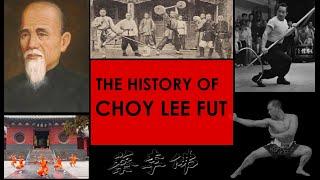 The History of Choy Lee Fut -  Kung Fu Report - Adam Chan