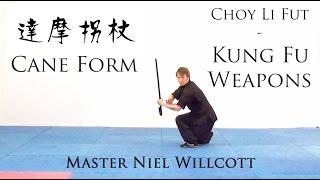 Learn Kung Fu weapons forms  - Choy Li Fut cane form -