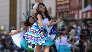 『第37回浅草サンバカーニバル 2018/37th Asakusa Samba Carnival 2018』BLOCO SHIZUOKA /ブロッコ シズオカ【Part 1】