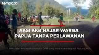 Beredar Video Diduga KKB Hajar Orang Papua Asli Tanpa Perlawanan