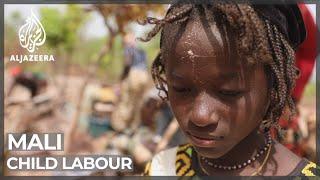 Mali child labourers: Children forced to earn money at young age