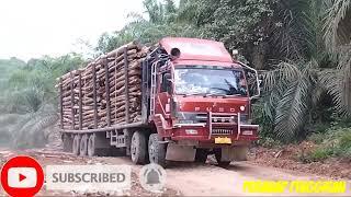 Truck Loging Riau Indonesia