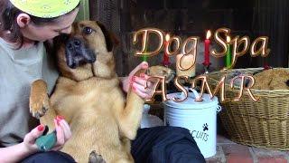 Soggy Pawz Doggy Spa: (ASMR for Dogs & People Who Like Dogs)