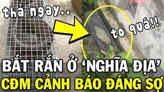 Thanh niên đăng clip bẫy được RẮN KHỦNG tại NGHĨA ĐỊA, đọc bình luận LẠNH NGƯỜI | Tin Việt 2 Phút