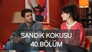 Sandık Kokusu 40.bölüm inceleme 25 Aralık 2024 #sandıkkokusu #demetakbağ