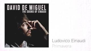 Ludovico Einaudi - Primavera / David de Miguel