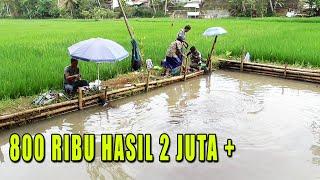 3 PEMANCING BERBAHAYA MANCING IKAN  DI KOLAM BORONGAN PENUH BAWAL