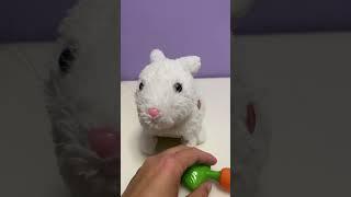 Наш питомец  #toys #rabbit #children #домашниеживотные #кролик #смешныеживотные  #animals