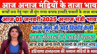 अनाज मंडी भाव| 01/01/2025 मूंग में आई रिकार्ड तेजी| सरसों ग्वार कपास गेहूं सहित अन्य सभी फसलों भाव,