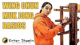 Wing Chun Muk Jong (Wooden Dummy) Beginners Training Drill Developing One Technique