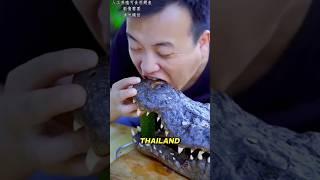 Thailand's Lucrative Crocodile Farms: The Million-Dollar Business! 